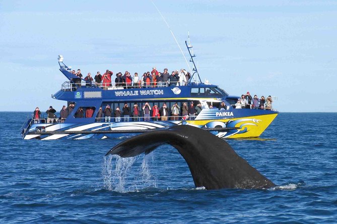 Whale